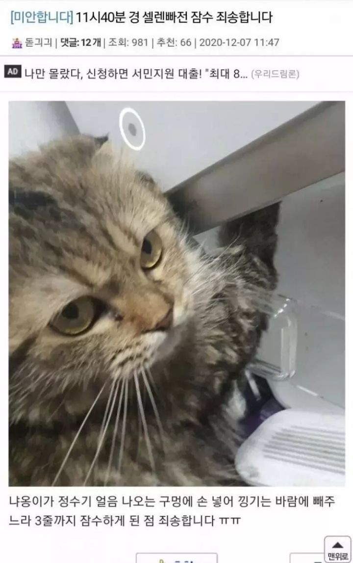 게임중에-잠수-타버린-이유-0-이미지