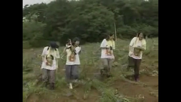 체험-삶의-현장에서-연예인들-체험했던-직업-5-이미지