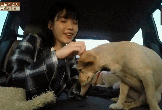 8년전-효리네-민박-속-아이유.gif-51-이미지