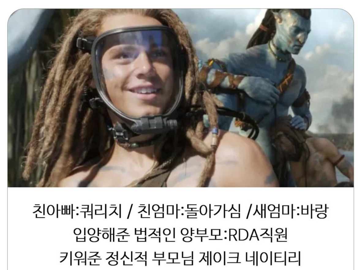 무려-엄마4,-아빠3-이라는-역대급-길냥이-0-이미지