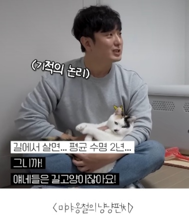 길고양이를-12년간-임보한-사람-3-이미지