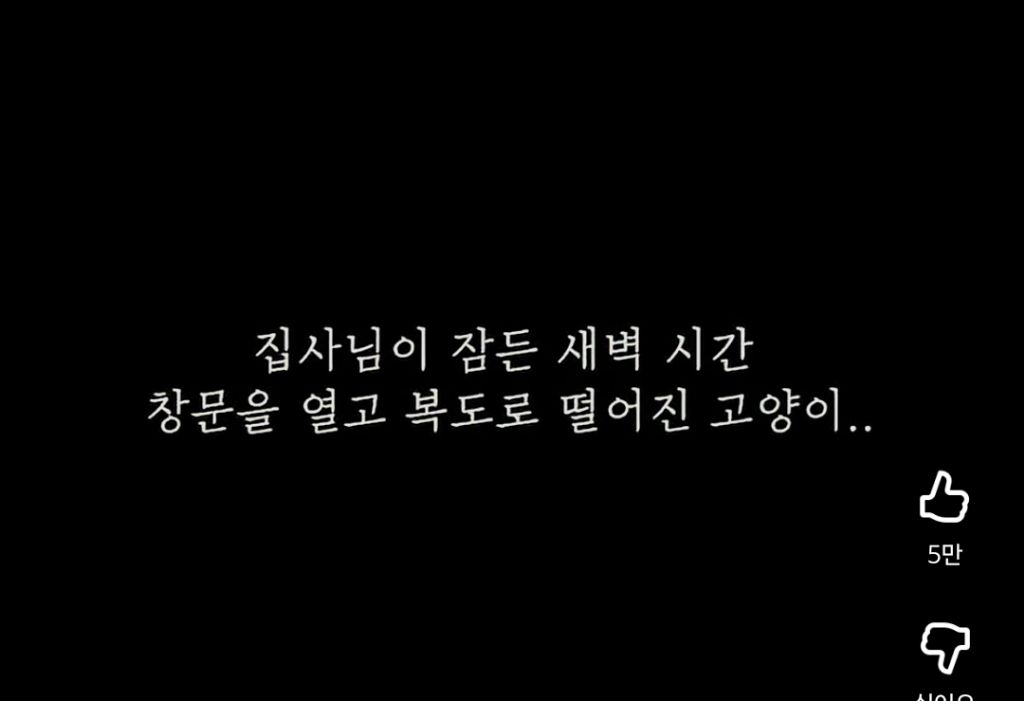 고양이-잃어버렸던-집사가-보자마자-무너진-흔적ㅠ-0-이미지