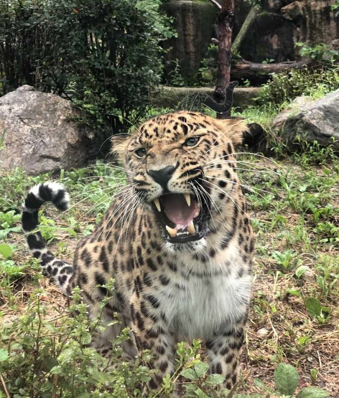 한국인이-세계적으로-냄새.체취가-안-나는-이유-6-이미지