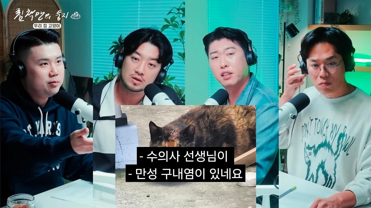 유기묘-보호소에-간식+사료-기부한-나폴리-맛피아-18-이미지