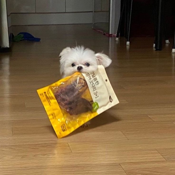 언니ㅠㅠ-이거-빨리-뜯어죠-1-이미지