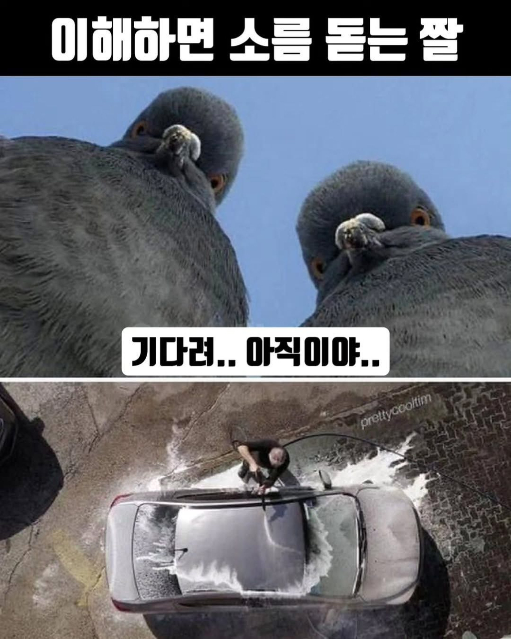 ??:기다려-아직이야-1-이미지