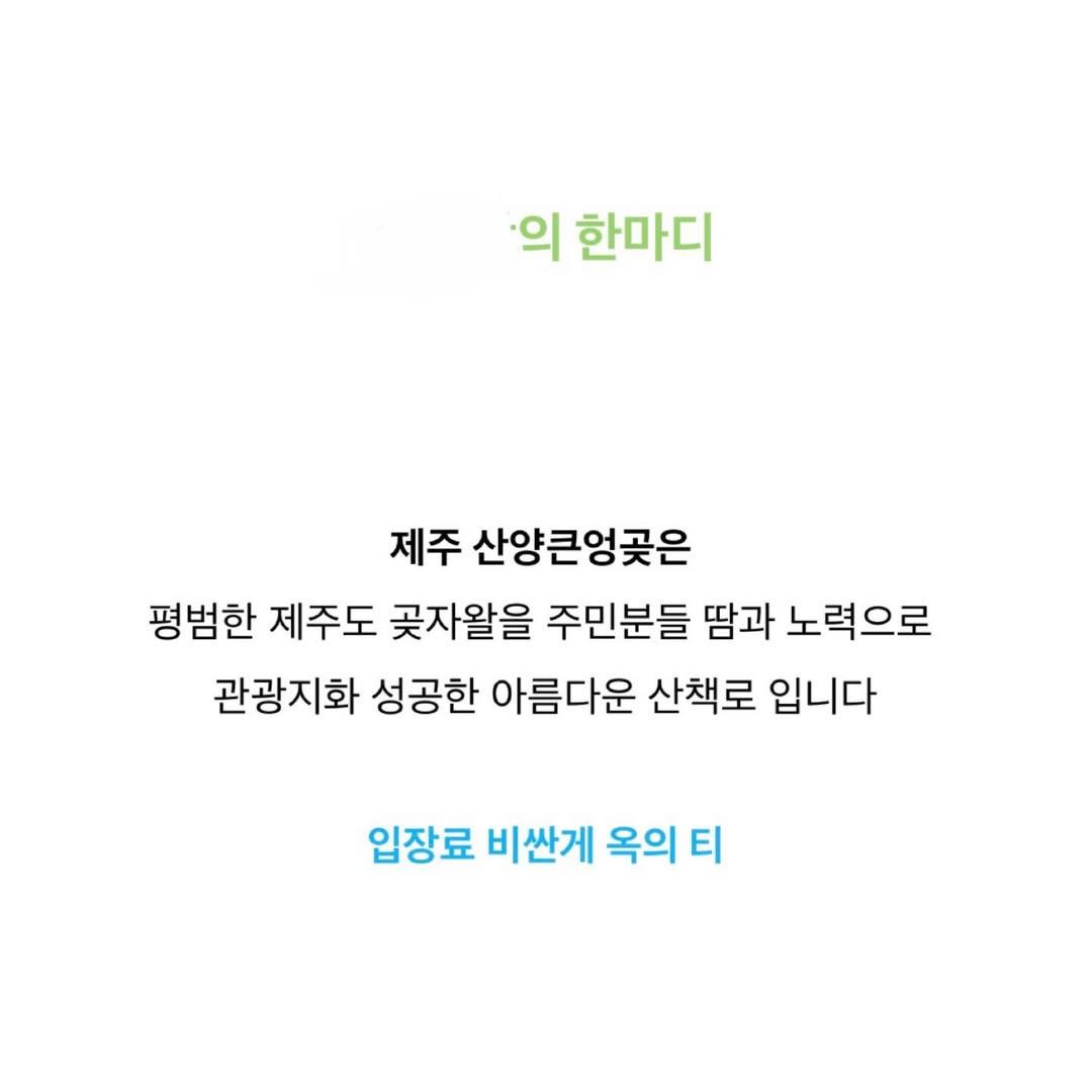 다시-논란인-여행-블로거의-제주-산양곶자왈-리뷰-9-이미지
