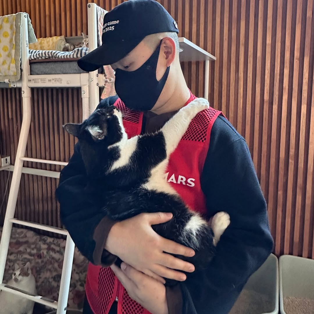 유기묘-보호소에-간식+사료-기부한-나폴리-맛피아-6-이미지