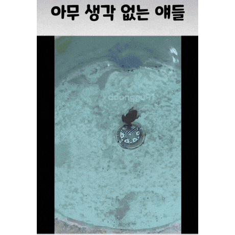 아무-생각-없는-얘들-0-이미지