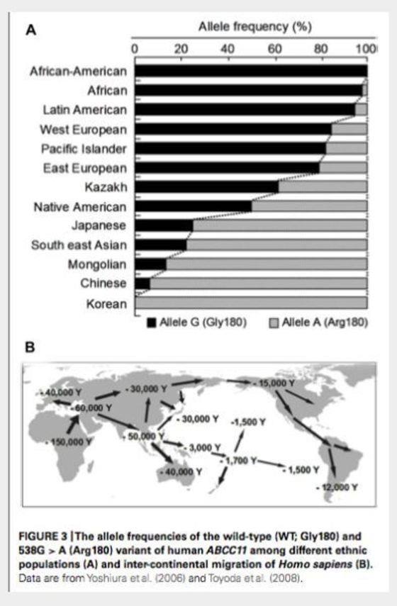 한국인이-세계적으로-냄새.체취가-안-나는-이유-1-이미지