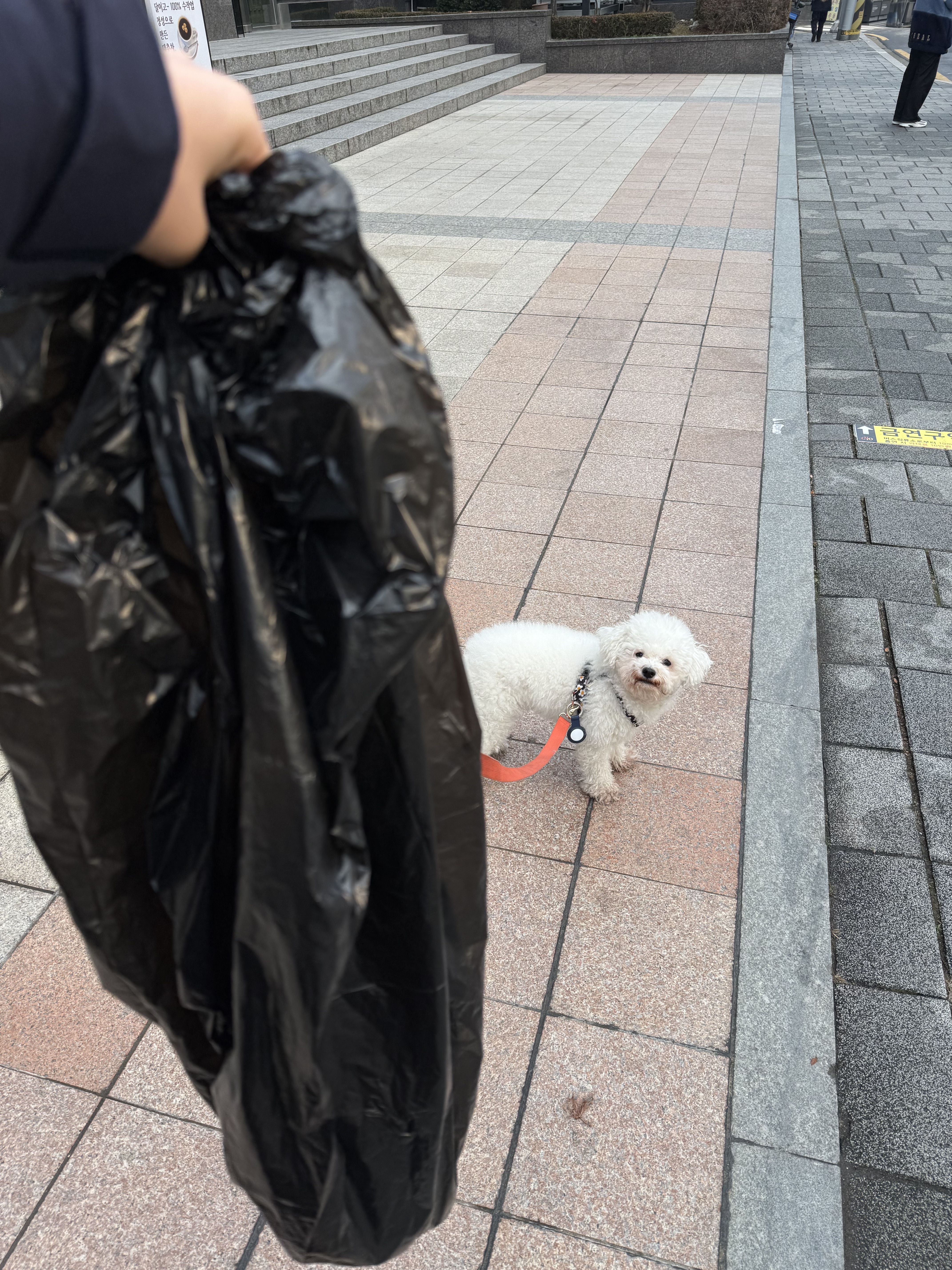 1시간에-똥-네번싸는거-정상이야?-0-이미지
