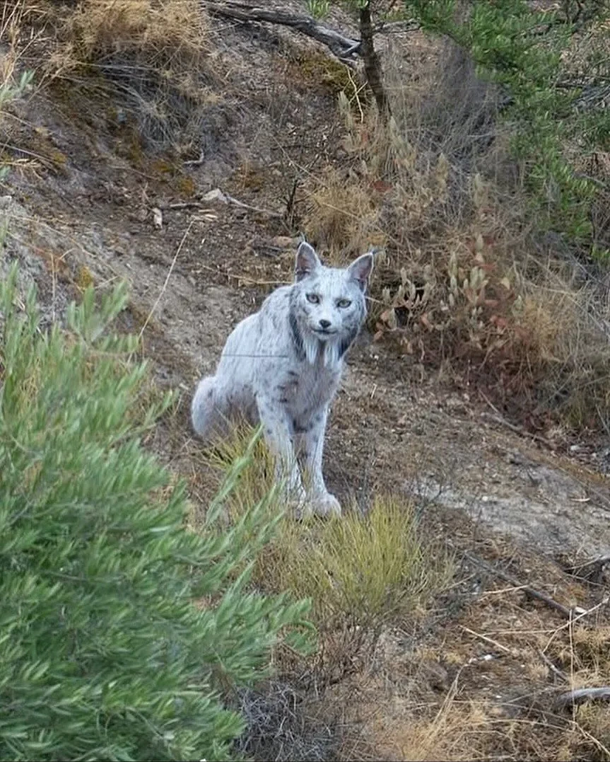 며칠전-세계-최초로-공개-된-동물-ㄷㄷ.JPG-0-이미지