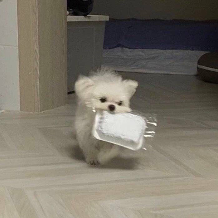 언니ㅠㅠ-이거-빨리-뜯어죠-3-이미지