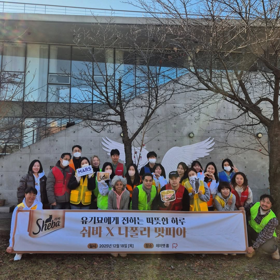 유기묘-보호소에-간식+사료-기부한-나폴리-맛피아-10-이미지