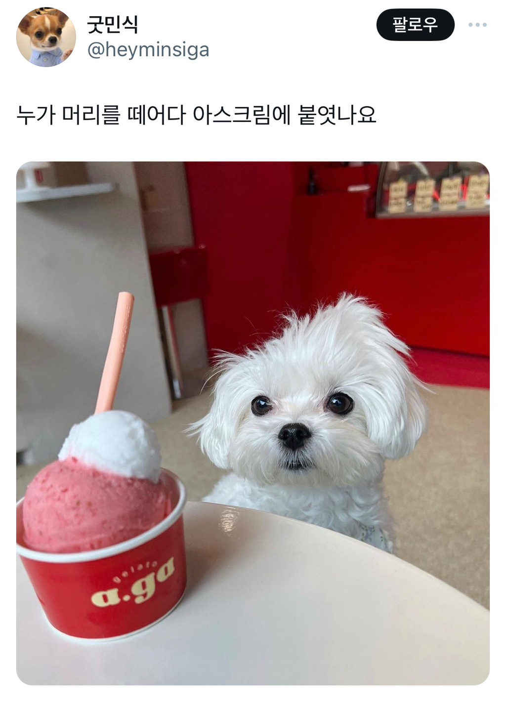 누가-머리를-떼어다-아스크림에-붙엿나요-0-이미지