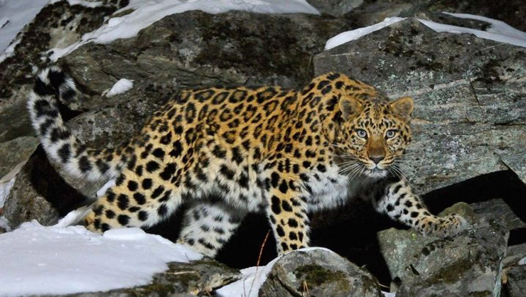 한국인이-세계적으로-냄새.체취가-안-나는-이유-8-이미지