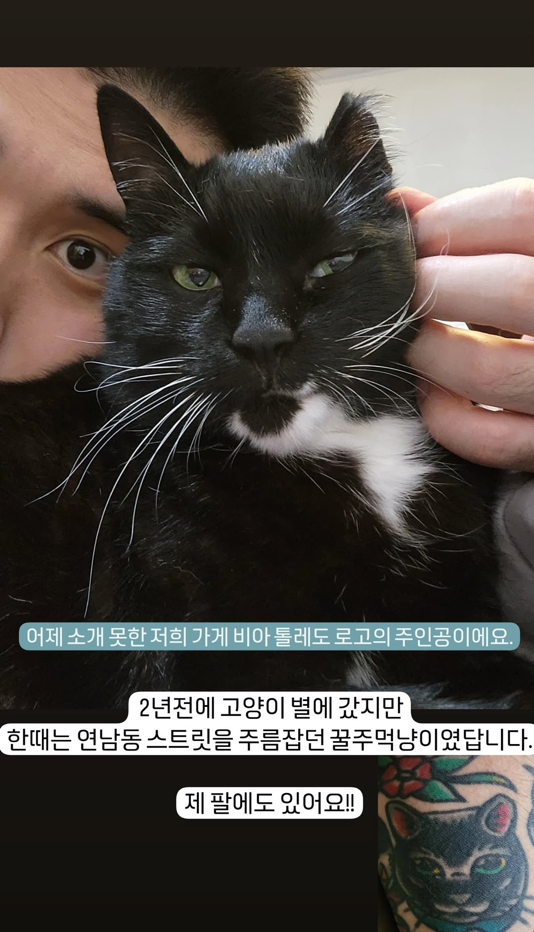 유기묘-보호소에-간식+사료-기부한-나폴리-맛피아-11-이미지