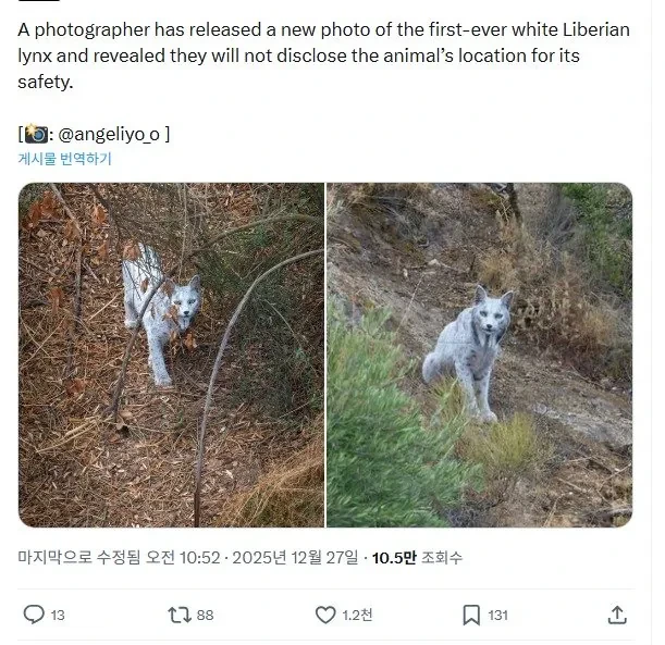 며칠전-세계-최초로-공개-된-동물-ㄷㄷ.JPG-2-이미지