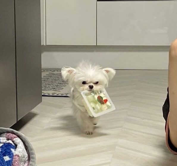 언니ㅠㅠ-이거-빨리-뜯어죠-2-이미지