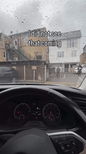 여보-누가-쓰레기통에-버릴라는거-나-달라했어..-진짜야..-1-이미지