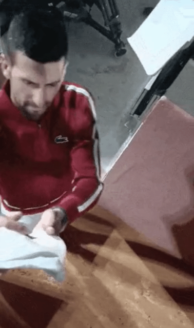 팬서비스-도중-뚝배기-깨질뻔한-조코비치.gif-0-이미지