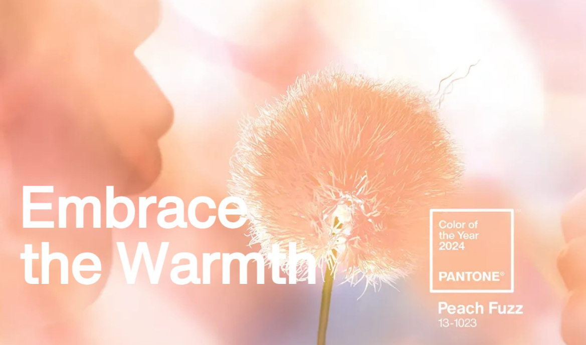 2026년-팬톤-올해의-컬러는?-3-이미지
