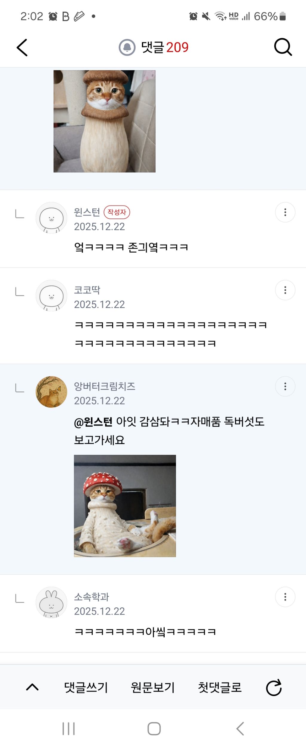 버섯광공-4-이미지