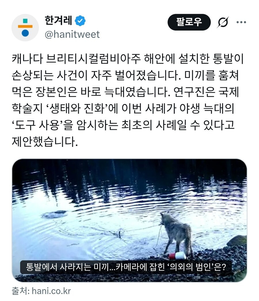 통발-미끼-몰래-훔쳐먹은-범인-.gif-0-이미지