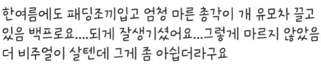 한결같은-정경호-목격담.jpg-2-이미지