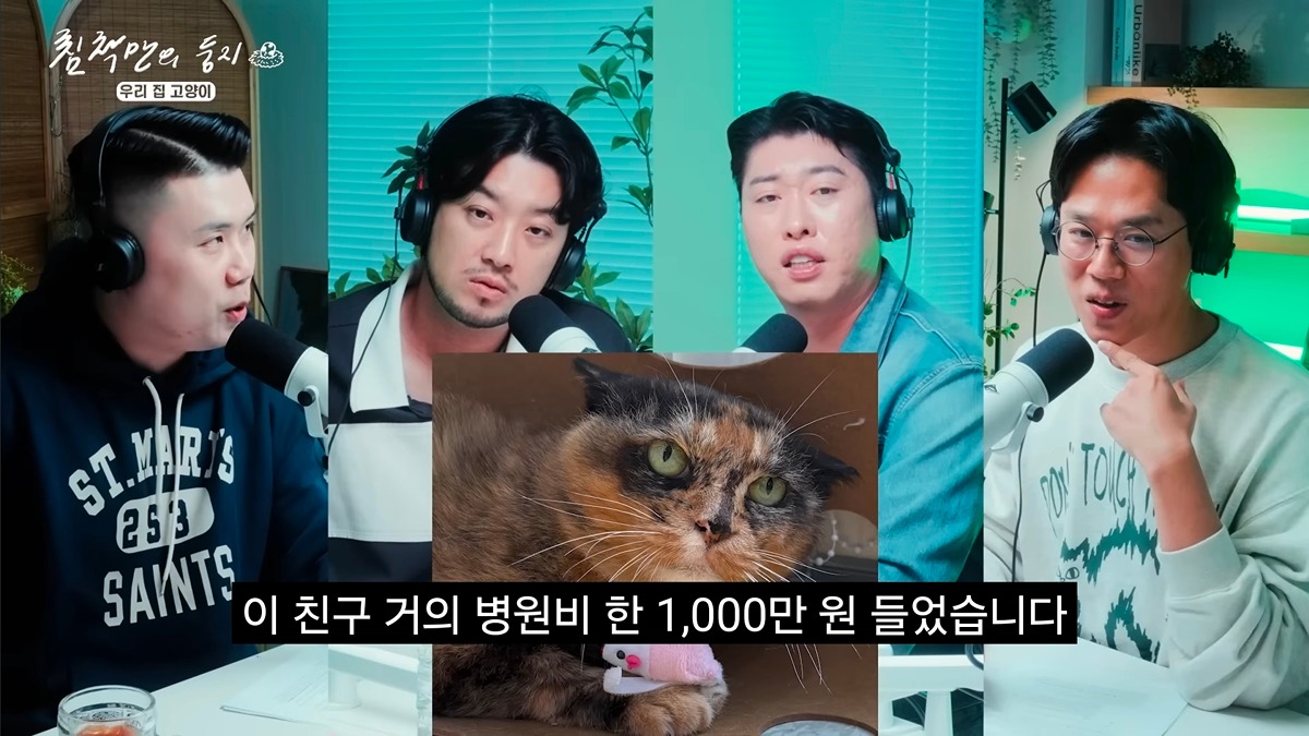 유기묘-보호소에-간식+사료-기부한-나폴리-맛피아-21-이미지