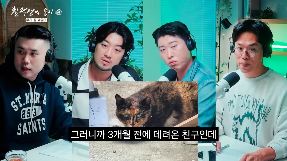 유기묘-보호소에-간식+사료-기부한-나폴리-맛피아-17-이미지