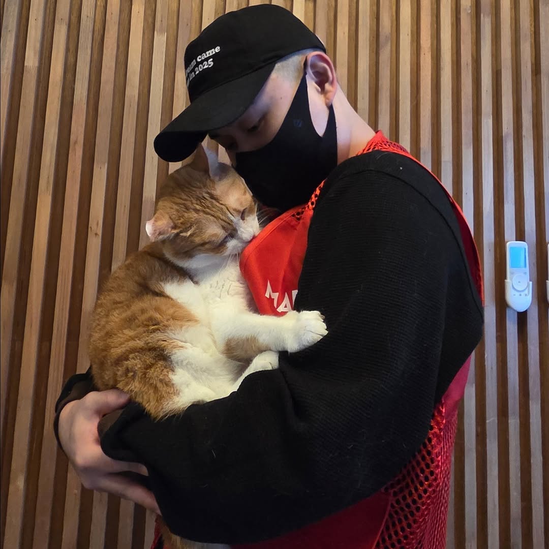 유기묘-보호소에-간식+사료-기부한-나폴리-맛피아-2-이미지