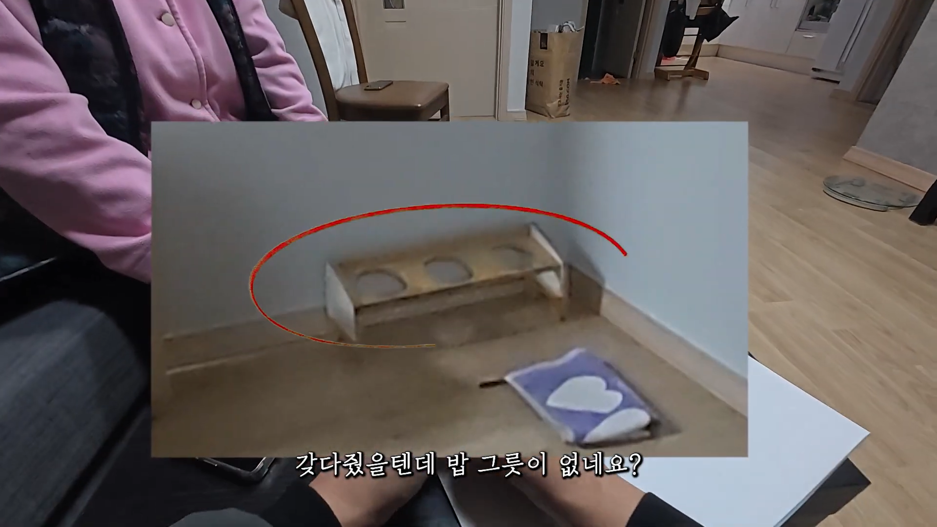 엄마에게-맡긴-고양이-2마리-유기---고양이원탐정-1-이미지