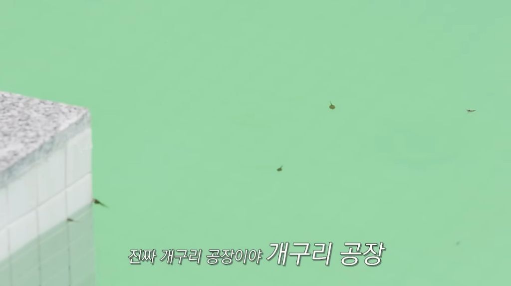 한혜진의-홍천집-망한-포인트-중-하나가-야외-수영장인-이유-5-이미지