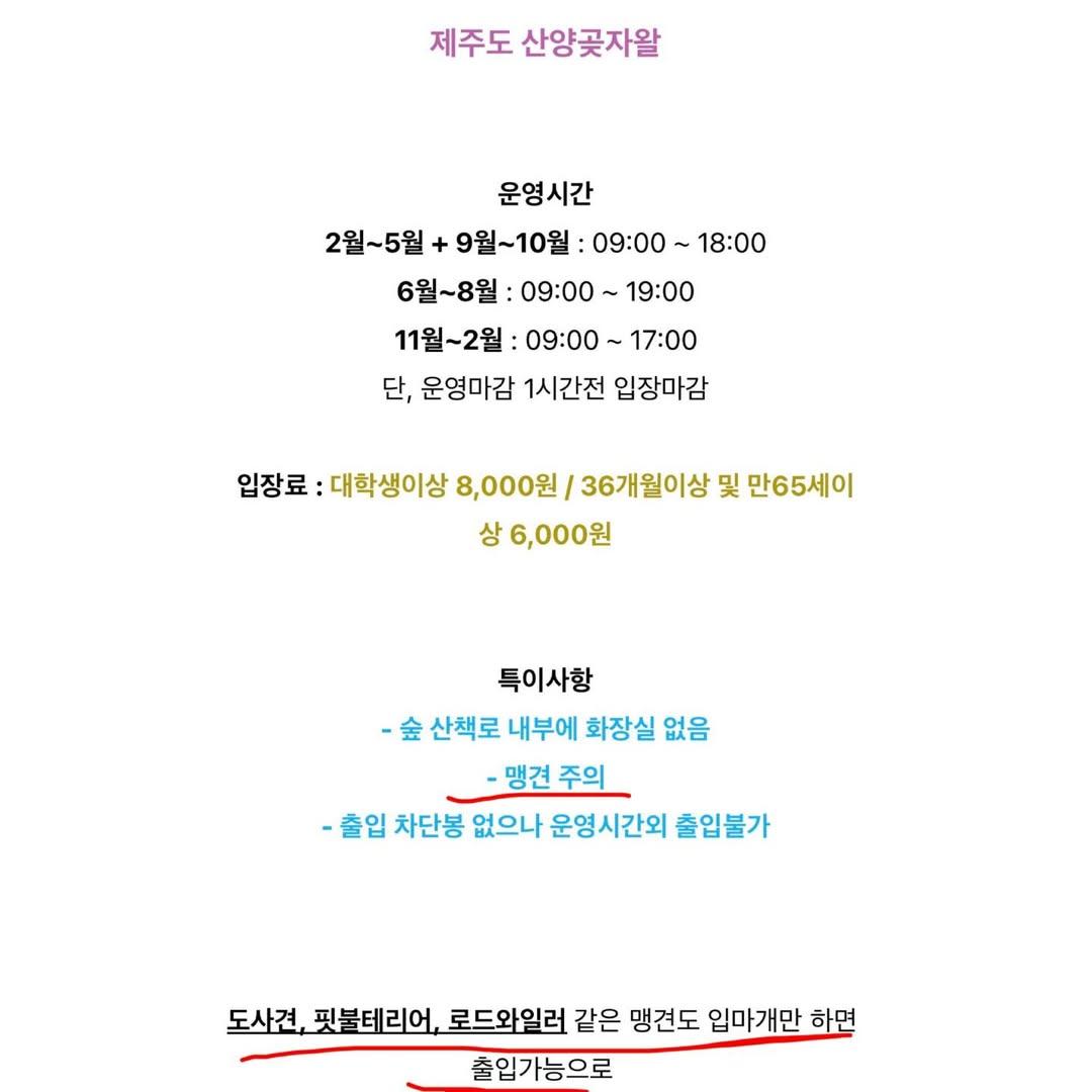 다시-논란인-여행-블로거의-제주-산양곶자왈-리뷰-3-이미지