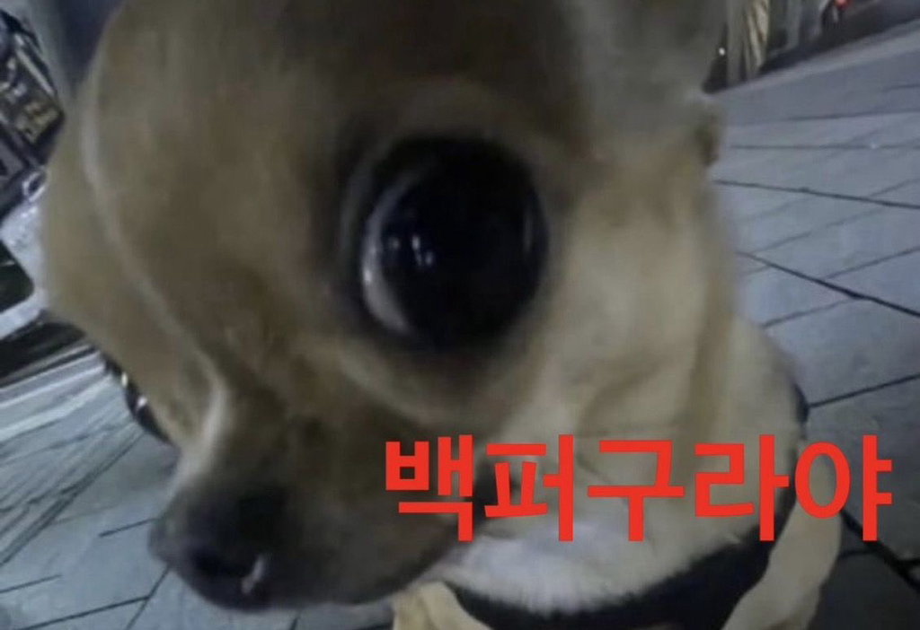 돈-많은-사주-특징-16-이미지