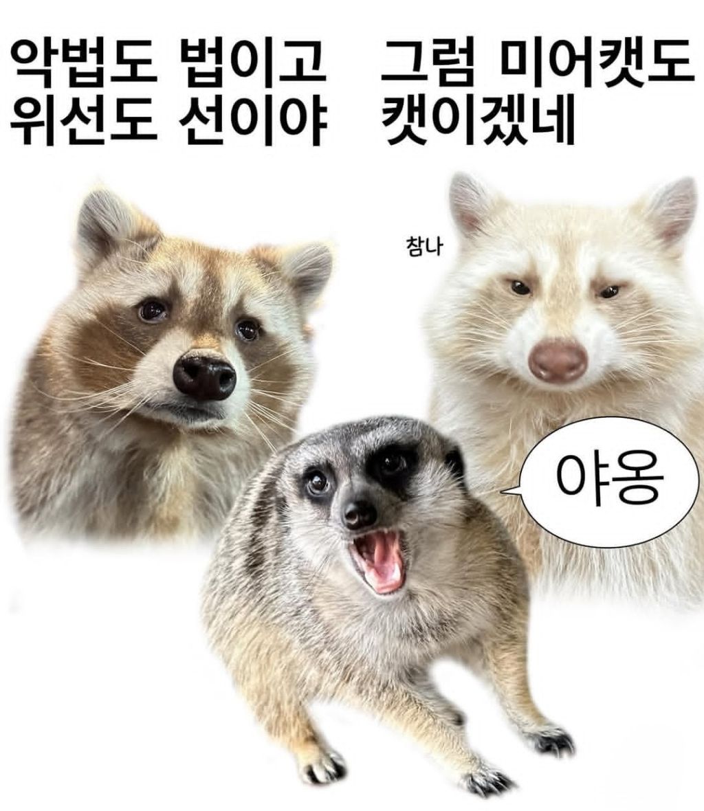 악법도-법이고-위선도-선이야-1-이미지