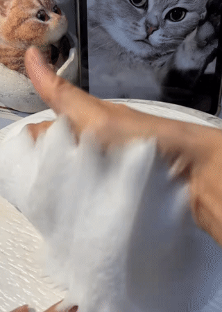 고양이-마쉬멜로우-설.gif-2-이미지