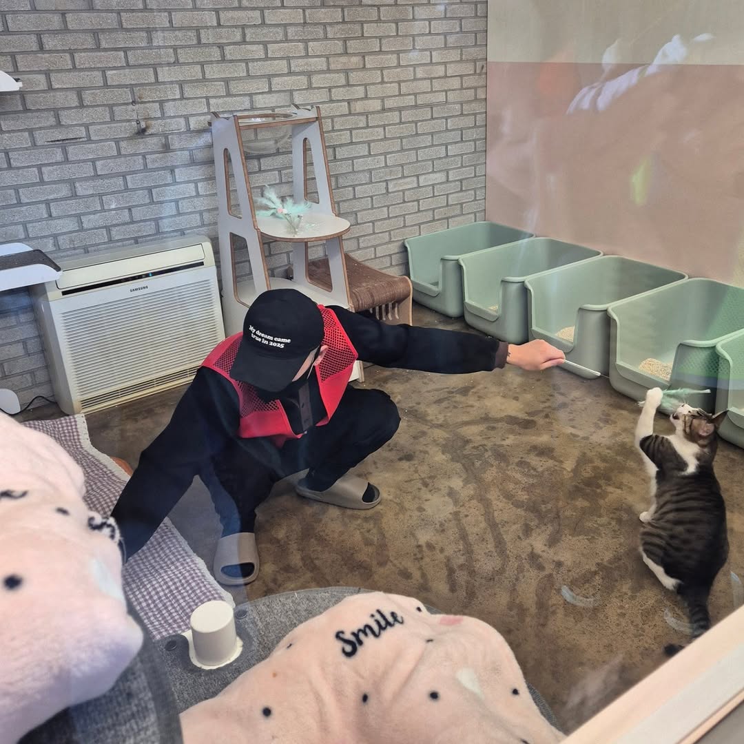 유기묘-보호소에-간식+사료-기부한-나폴리-맛피아-4-이미지