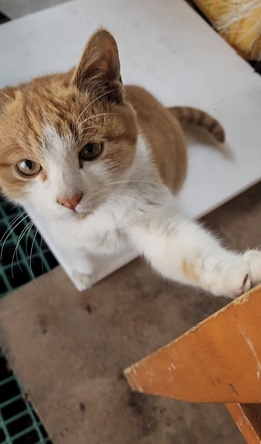 암살당할뻔함-1-이미지