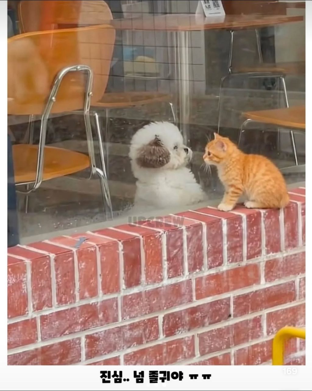 세상-무해한-투샷.jpg-2-이미지