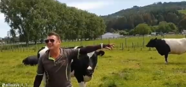 한국어-패치-완벽하게-된-뉴질랜드-농장-현지인-가이드.twt-0-이미지