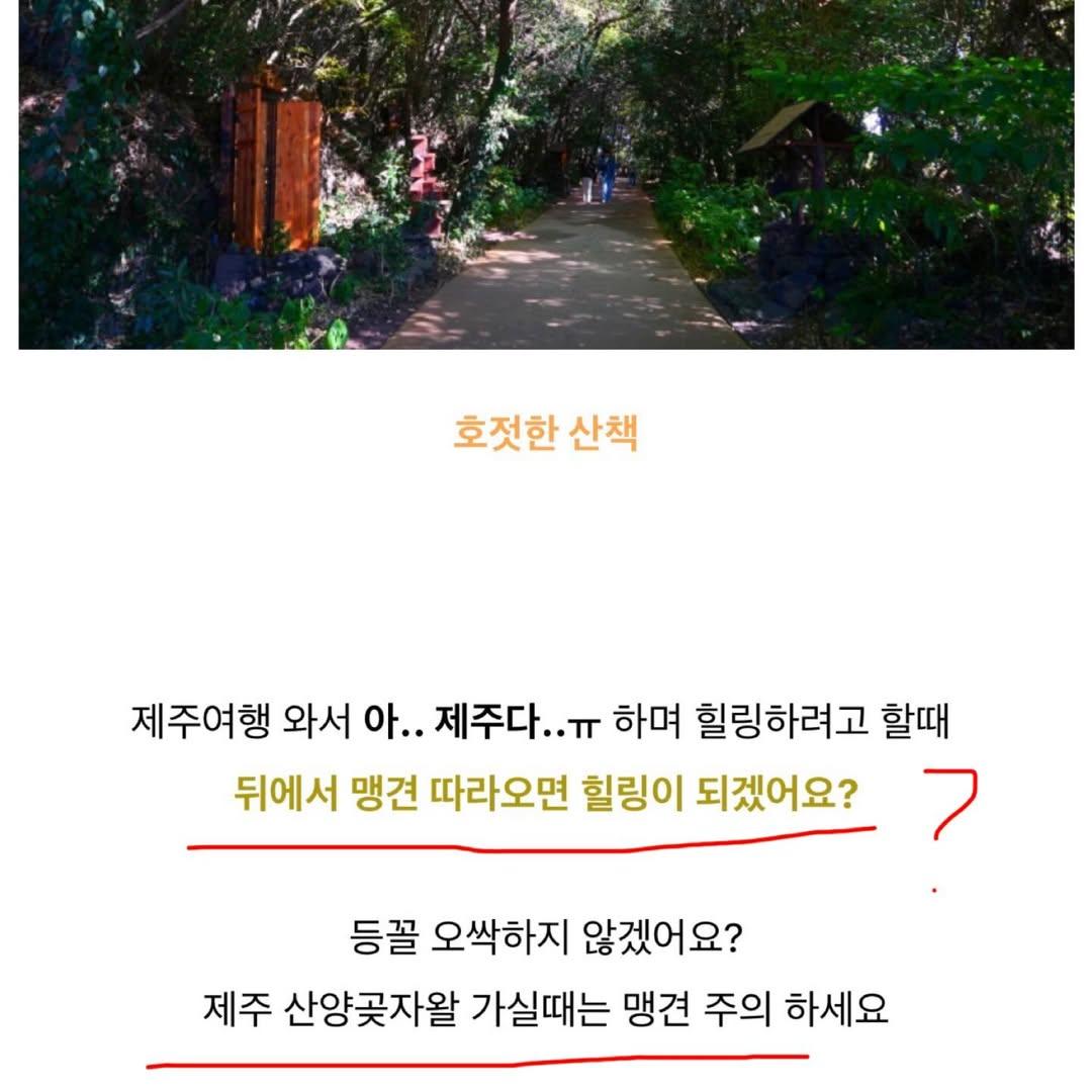 다시-논란인-여행-블로거의-제주-산양곶자왈-리뷰-6-이미지