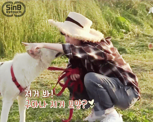 8년전-효리네-민박-속-아이유.gif-28-이미지