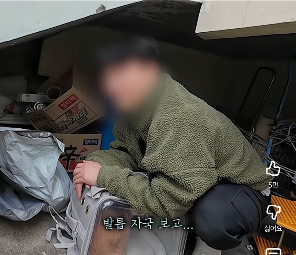 고양이-잃어버렸던-집사가-보자마자-무너진-흔적ㅠ-7-이미지