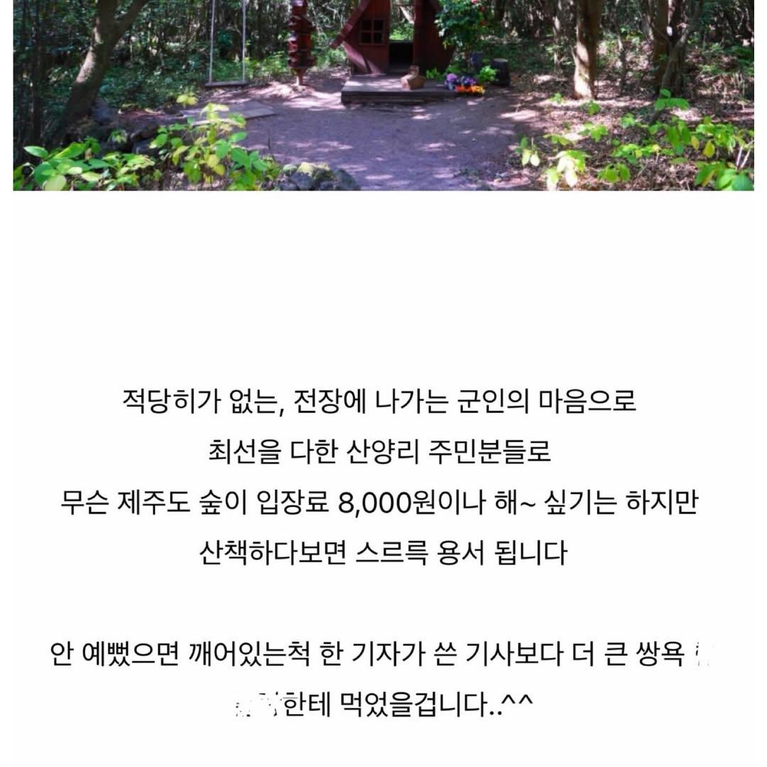 다시-논란인-여행-블로거의-제주-산양곶자왈-리뷰-8-이미지