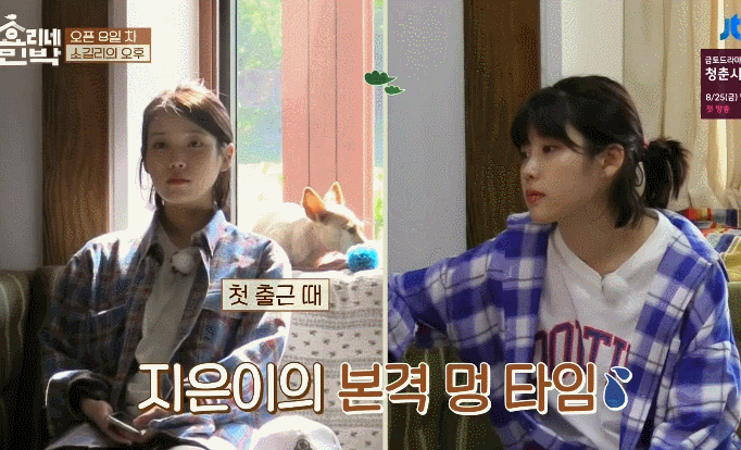 8년전-효리네-민박-속-아이유.gif-43-이미지