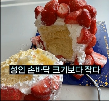 반응-안좋은-파리바게트-신상-케잌.JPG-12-이미지