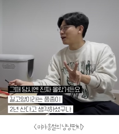 길고양이를-12년간-임보한-사람-6-이미지