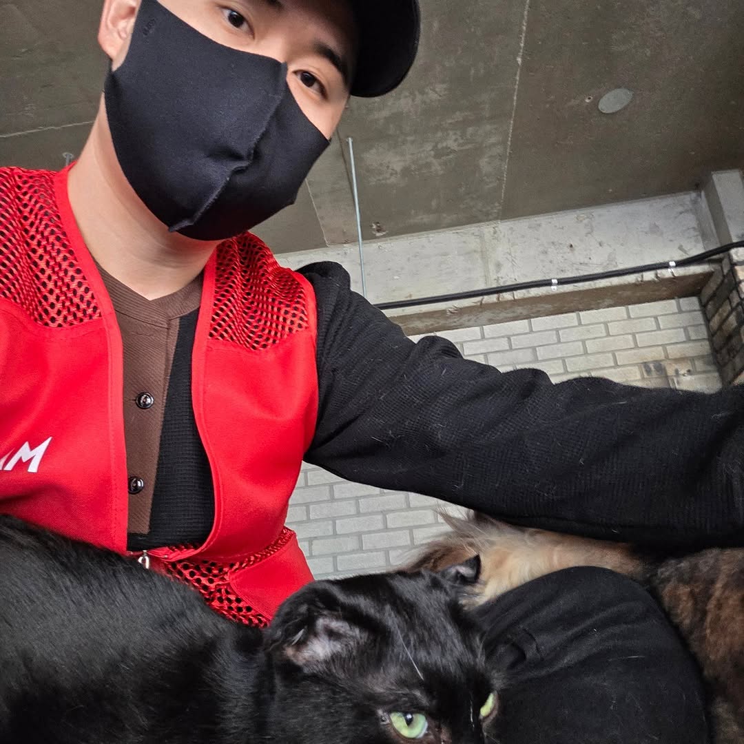 유기묘-보호소에-간식+사료-기부한-나폴리-맛피아-5-이미지